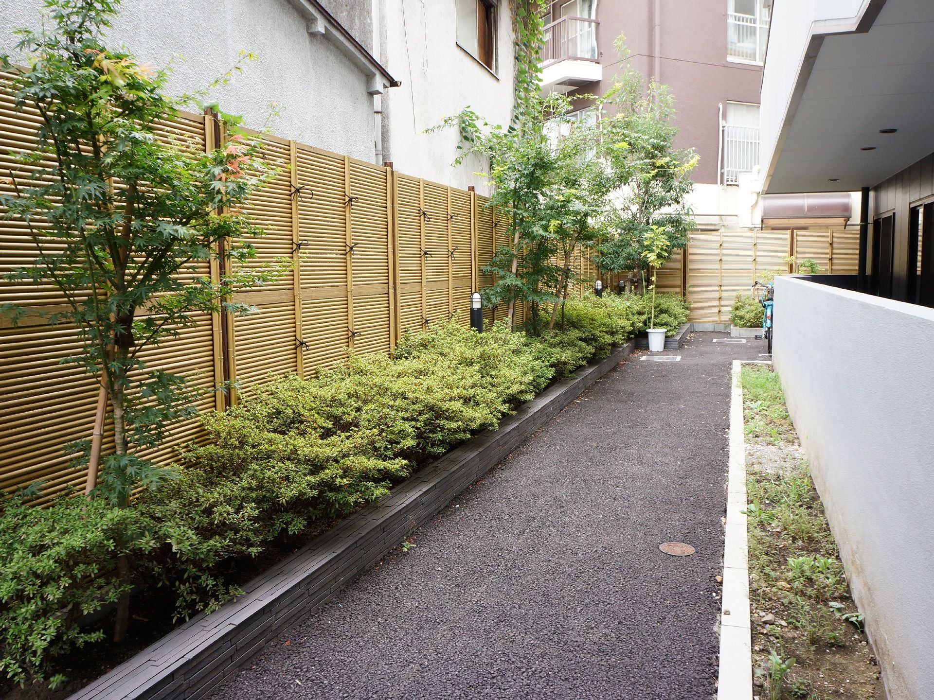 隣の建物との間には通路が整備されている。通路の脇には植物が植えられている。外部とは塀で仕切られている。