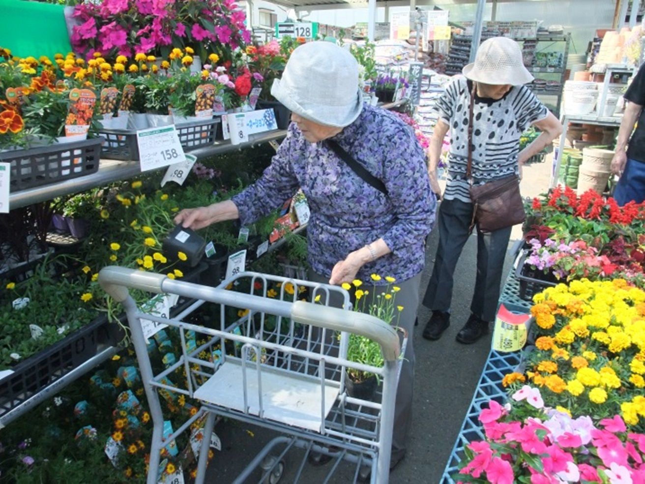 ２人の女性入居者様が、色とりどりの花の苗が置かれた店先にいる。１人の入居者様はカートを持って苗を入れ、もう１人の入居者様は後ろを歩いている。