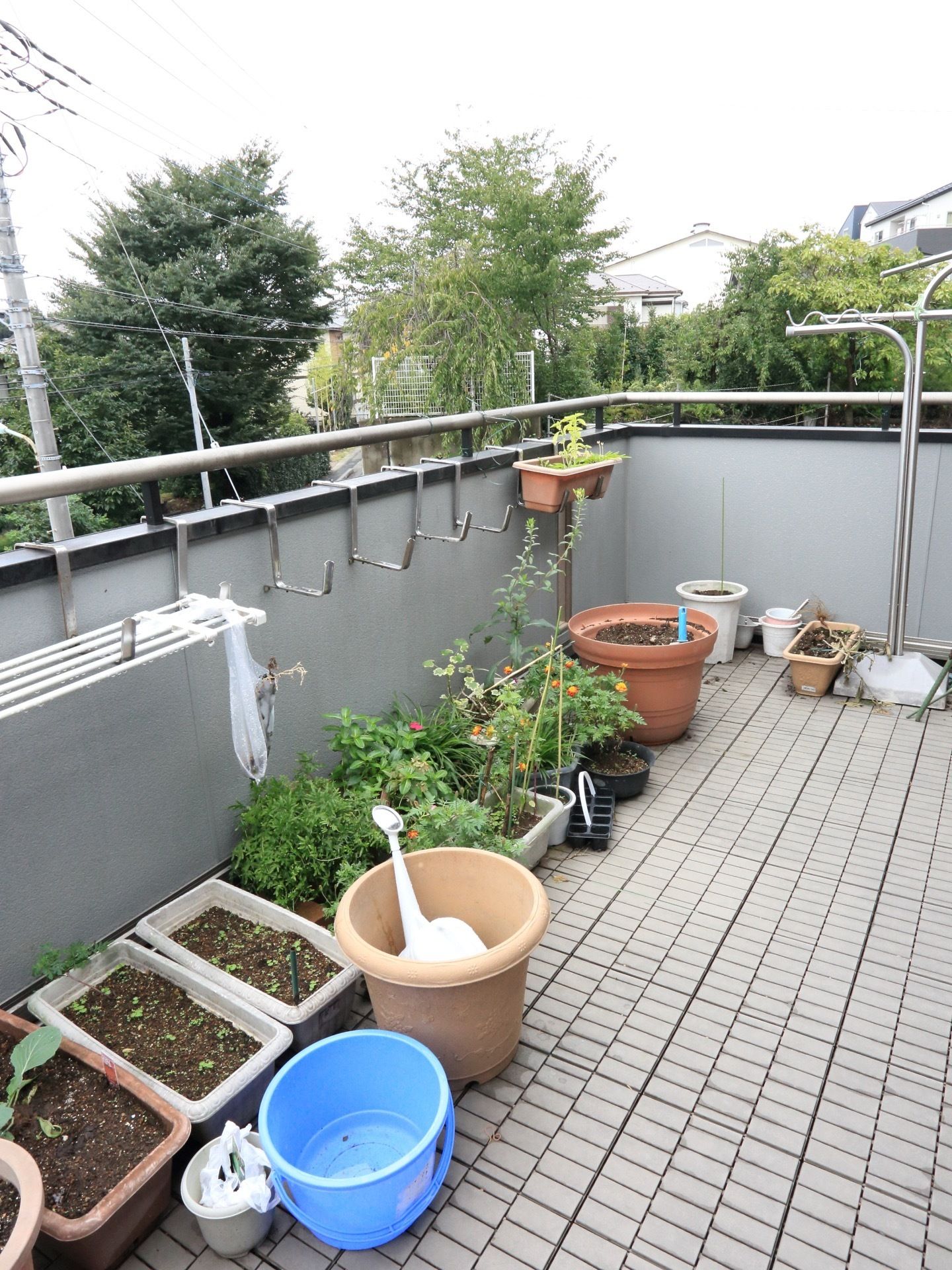 洗濯物を干すスペースがあり、便利である。たくさんの植物のあるベランダとなっている。景色を眺めることができる。