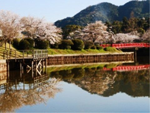 シルバートライ朝倉の周辺環境。一年を通して季節を味わえる環境がございます。お散歩にてお楽しみください。