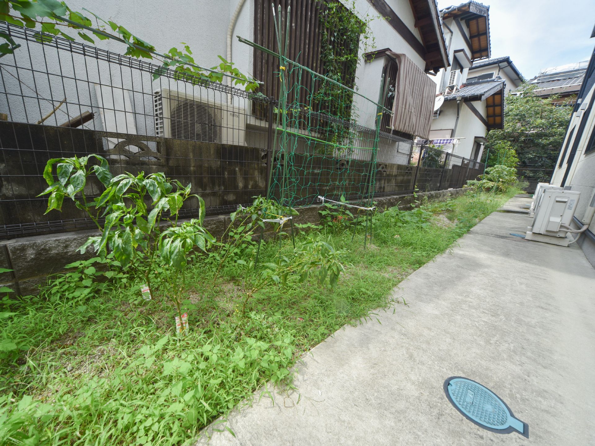 建物のすぐ横にはコンクリートが敷かれ、室外機が置かれている。その横には、小さな木などが植えられている。