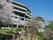 建物の前には遊歩道があり、桜が植えられている。ベンチがあり、そこに座って桜や梅を観賞することができる。