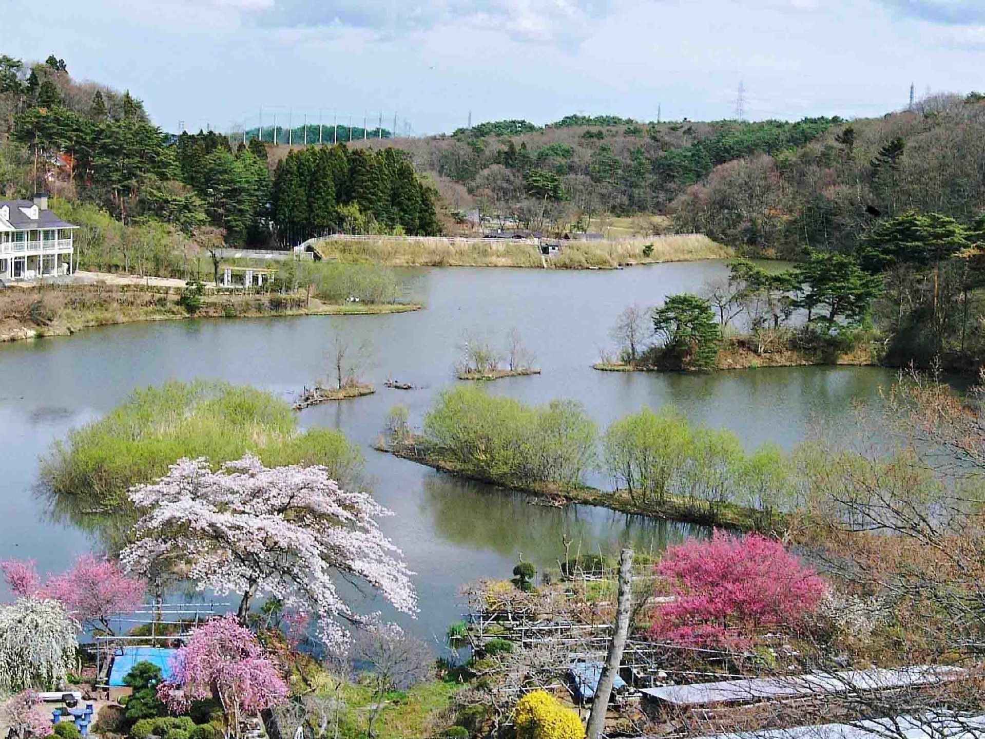 桃色や白色の花咲く樹木に囲まれ、緑樹の生える小島が浮かぶ池