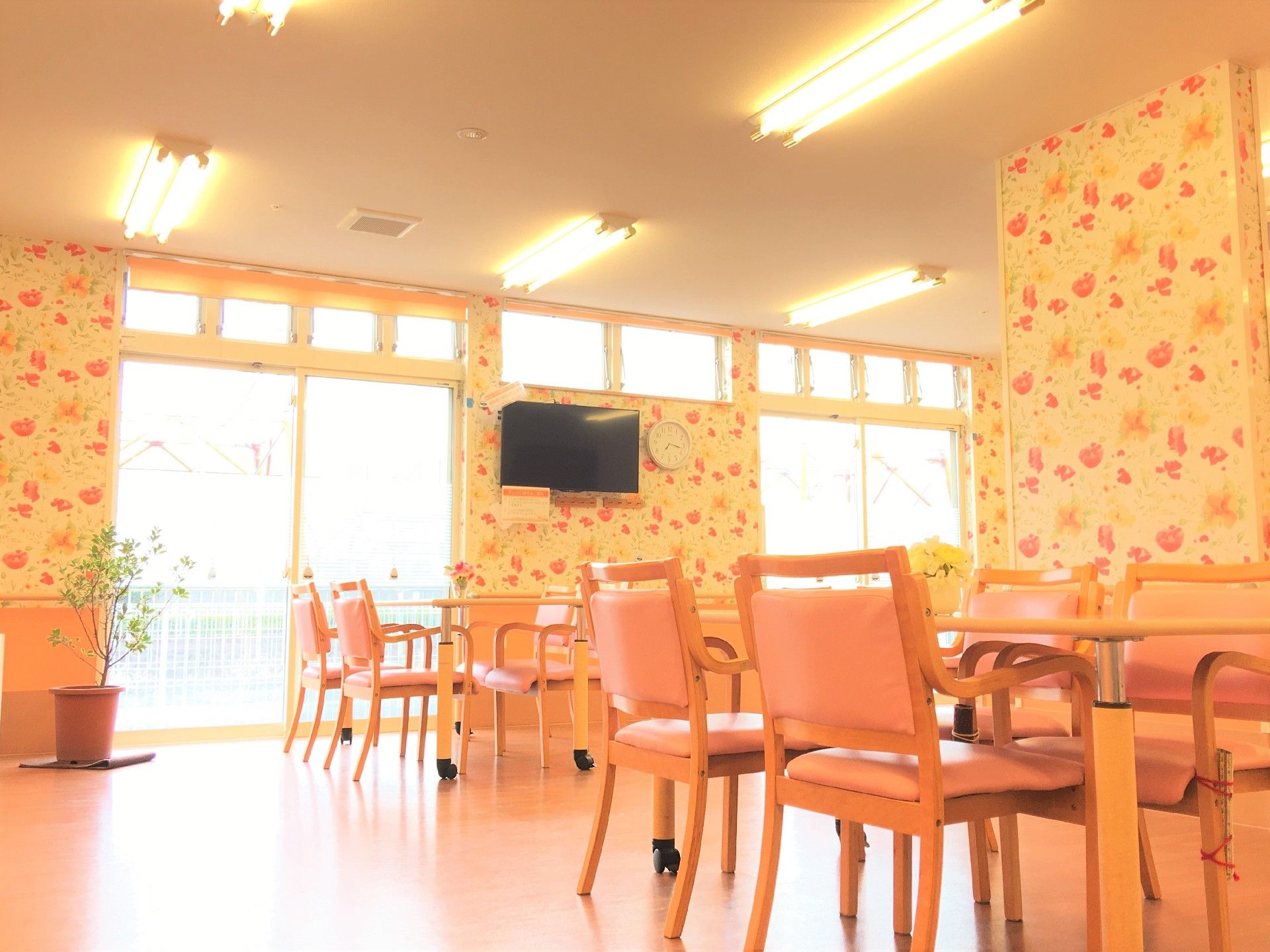 窓が多い空間。ピンク色の花柄の壁には時計とテレビが取り付けてある。テーブルと椅子がいくつも配置されている。
