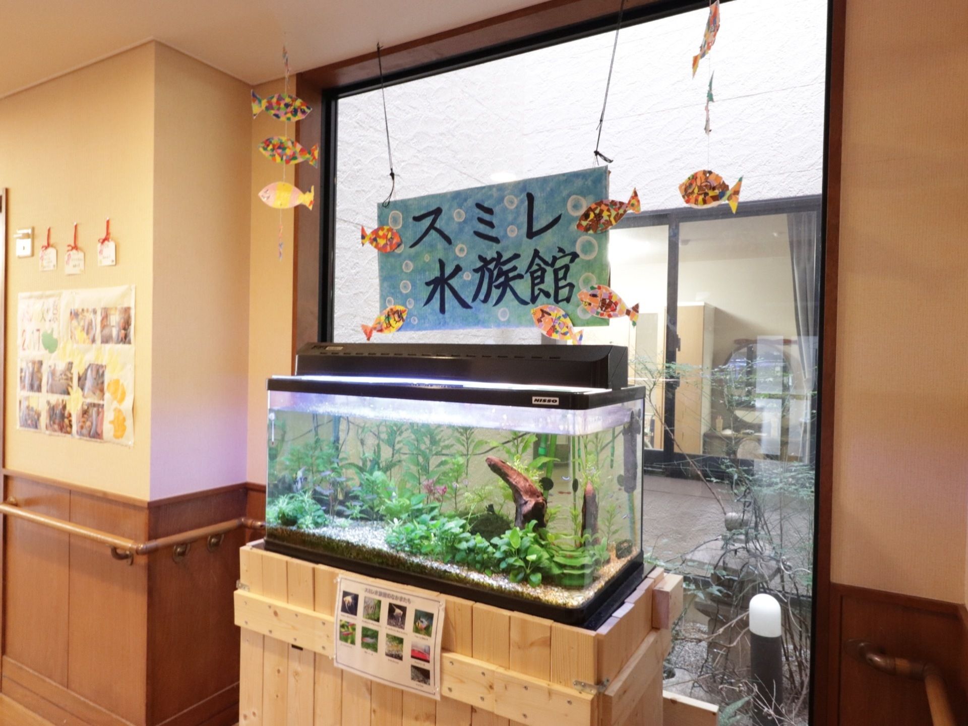 水草が植えられた水槽に、観賞魚が飼育されている。「スミレ水族館」と書かれた看板と、観賞魚の解説資料が一緒に展示されている。