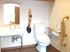 濃い茶色の床に白のトイレと洗面台が設置されている。トイレの近くには縦向きに手すりがつけられ、立ち座りをサポート。
