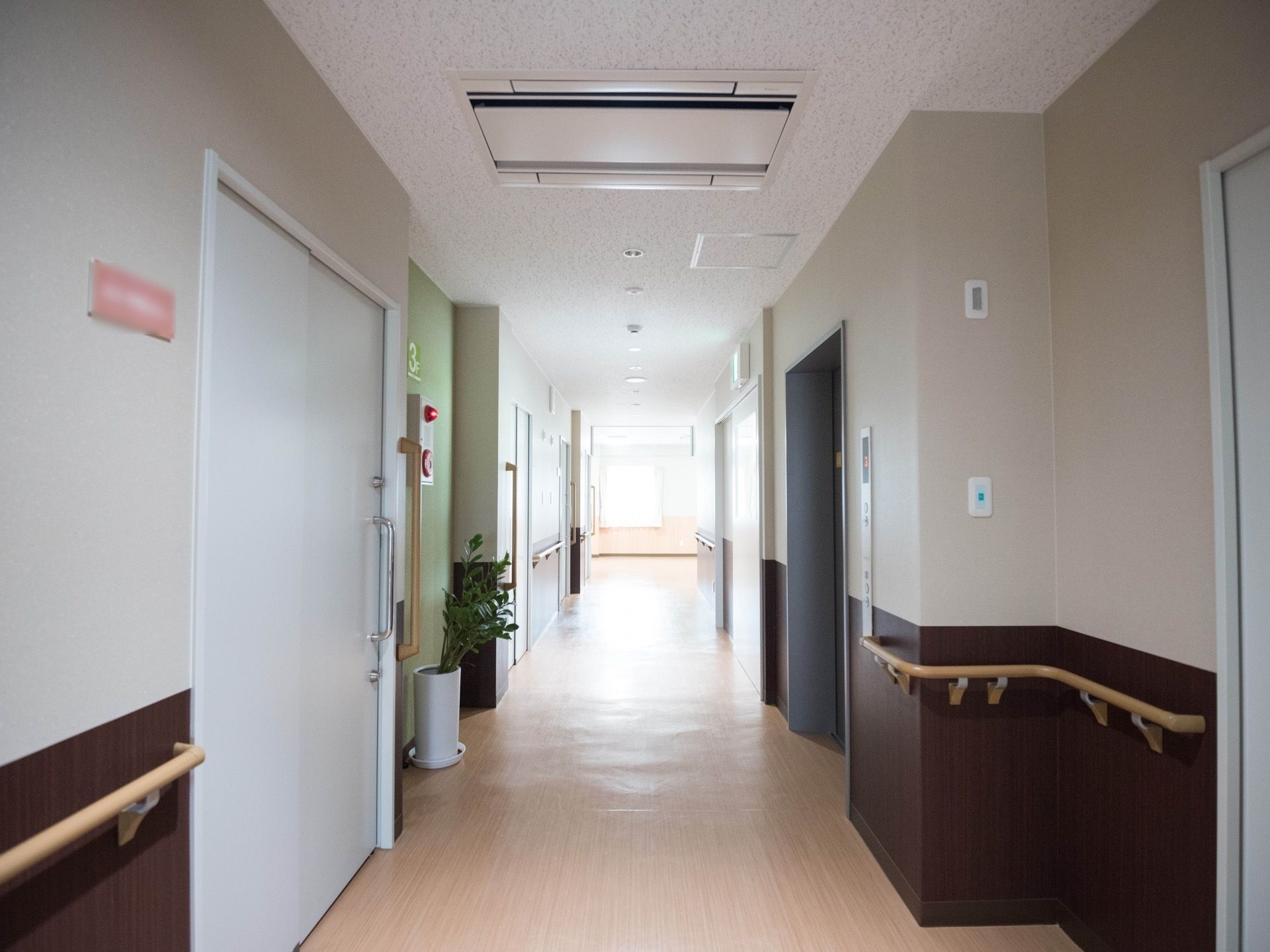 長い通路の突き当りに窓があり、明るく照らされている。手前に白い大きなスライド扉があり、その横に植物が置かれている。