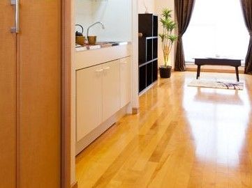 あたたかみのある木目調の床が印象的である。突き当りの窓から光が差し込み明るい。窓際に観葉植物が飾られている。