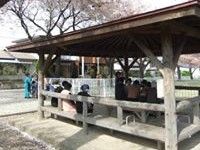野外活動の風景である。桜が満開に咲いており、庭の中の屋根付きの木製の休憩所で、複数の入居者様が歓談している。