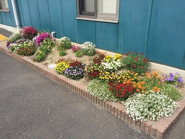 カラフルな花が咲く庭