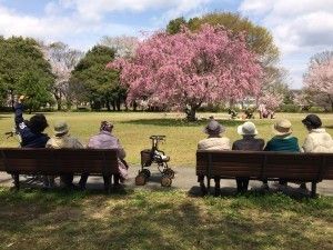 広い公園の花木を眺めている、ベンチに座っている入居者様の後ろ姿