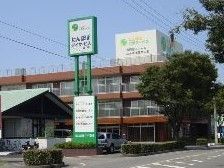 シンボルツリーがあり、大きな看板が目印となる三階建ての建物