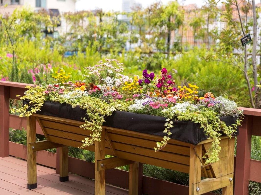 ウッドデッキにある、木製プランターに植え付けられた花