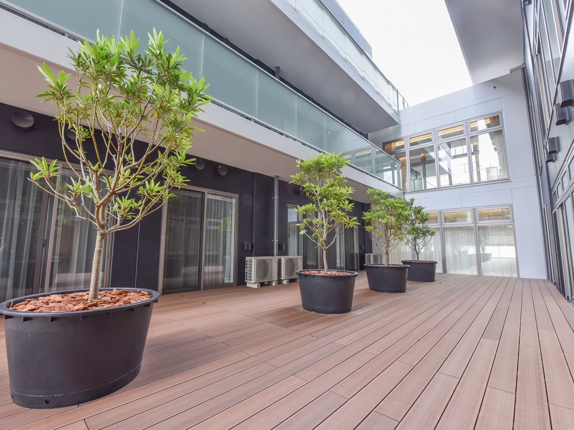 床が木製のデッキになった広い空間の中庭が設置されており、大型の鉢には木が植えられいつでも観察することができる。