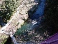 階段の先に小橋が懸けられている小川を上から見た様子