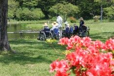 車椅子で園内散策