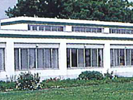 緑に囲まれた建物外観