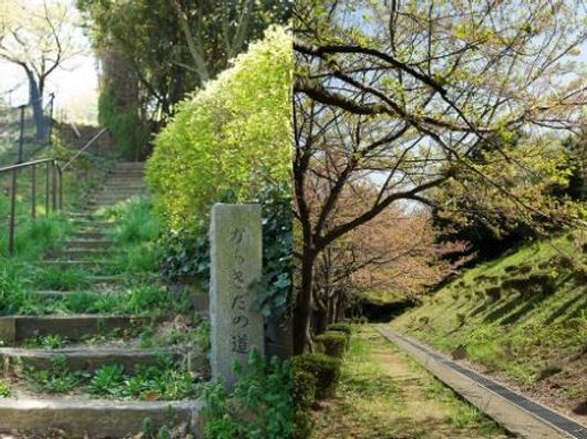 近隣公園