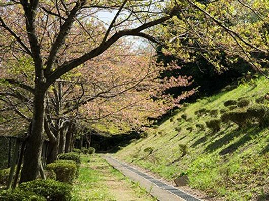 遊歩道