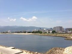 見晴らしが良く、大きな川の向こう側には住宅街が広がっているのが見える。対岸には木が並んで植えられている。