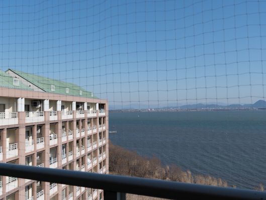 施設からの景色