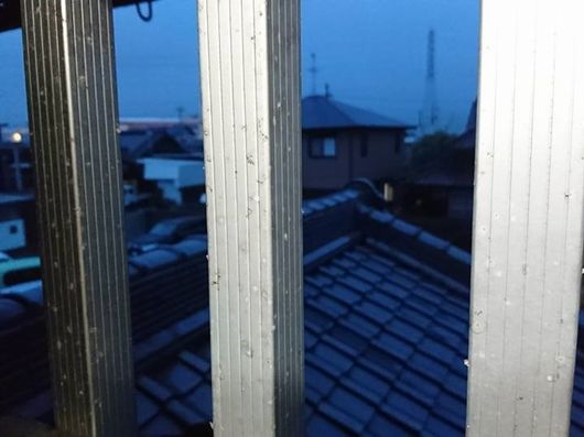 施設周辺