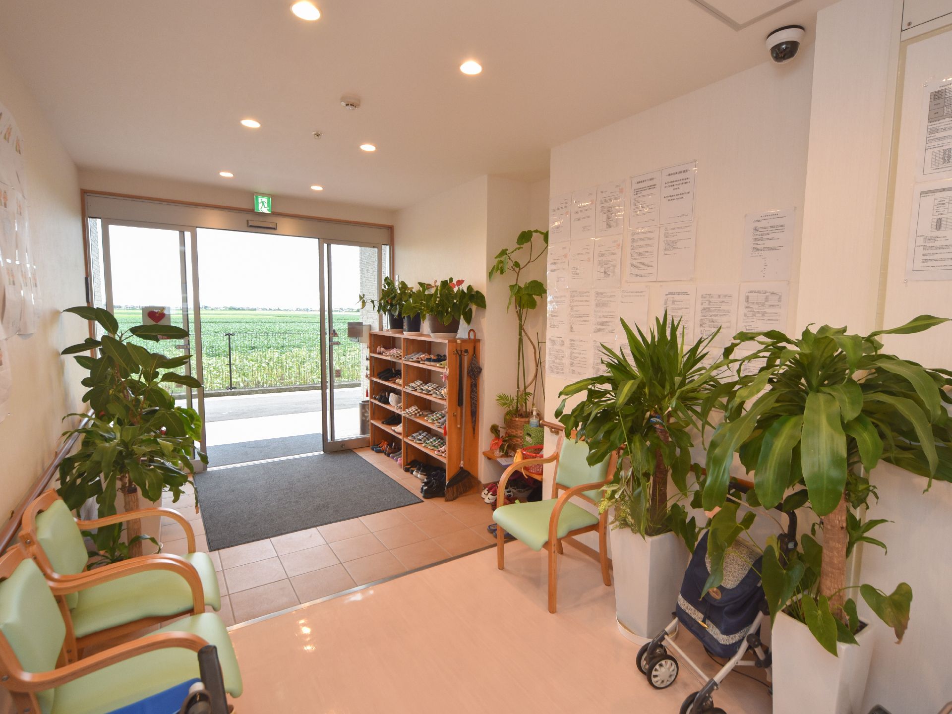 観葉植物を多く飾り、明るい印象作りをしているエントランス