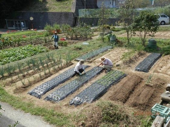 入居者様が自由に野菜などを栽培できる、施設に隣接した畑