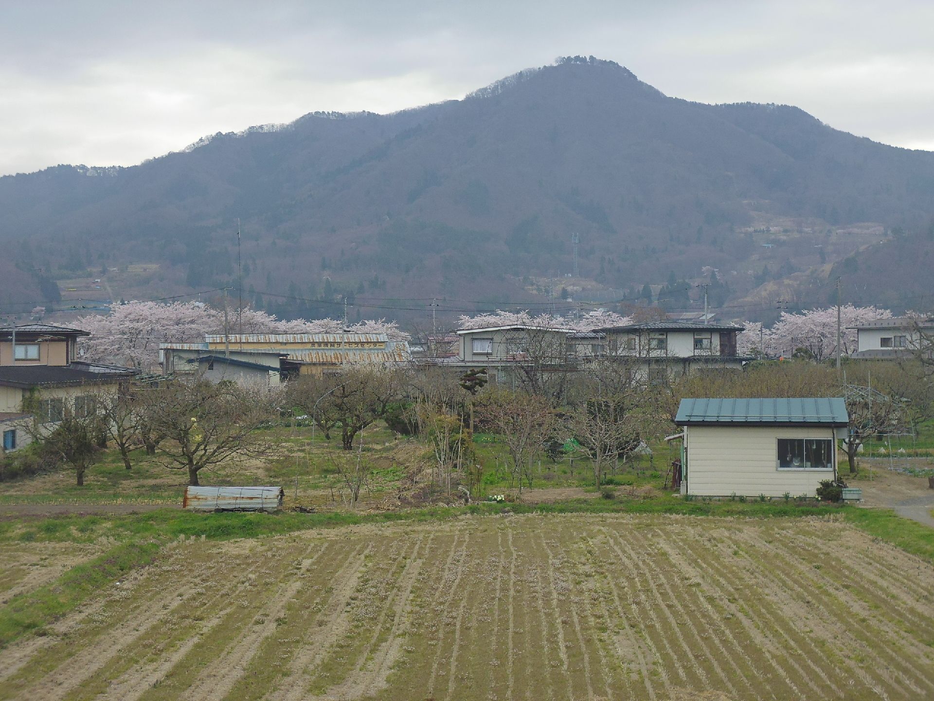 施設周辺は、緑豊かな環境が整っている。春にはたくさんの桜が咲いており、四季によってさまざまな景色を楽しめる。