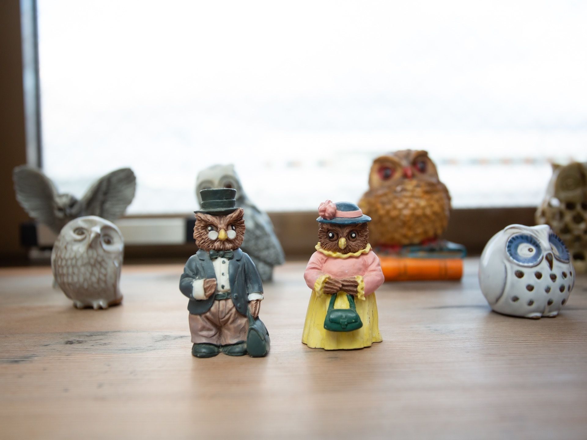 棚の上に置かれた置物である。中央には服を着てバッグを持ったフクロウの夫婦が置かれ、その周りには色や形の異なるさまざまなフクロウが並んでいる。