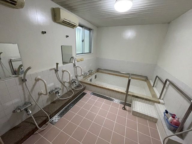 手すりが設置されているシャワー付きの浴室