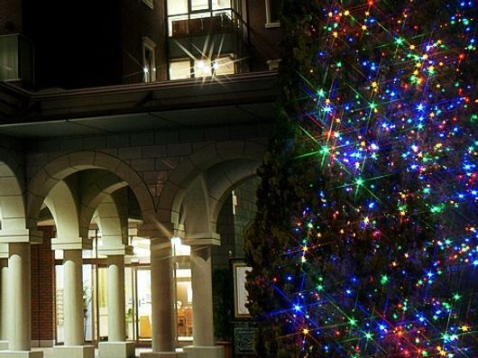 イルミネーション