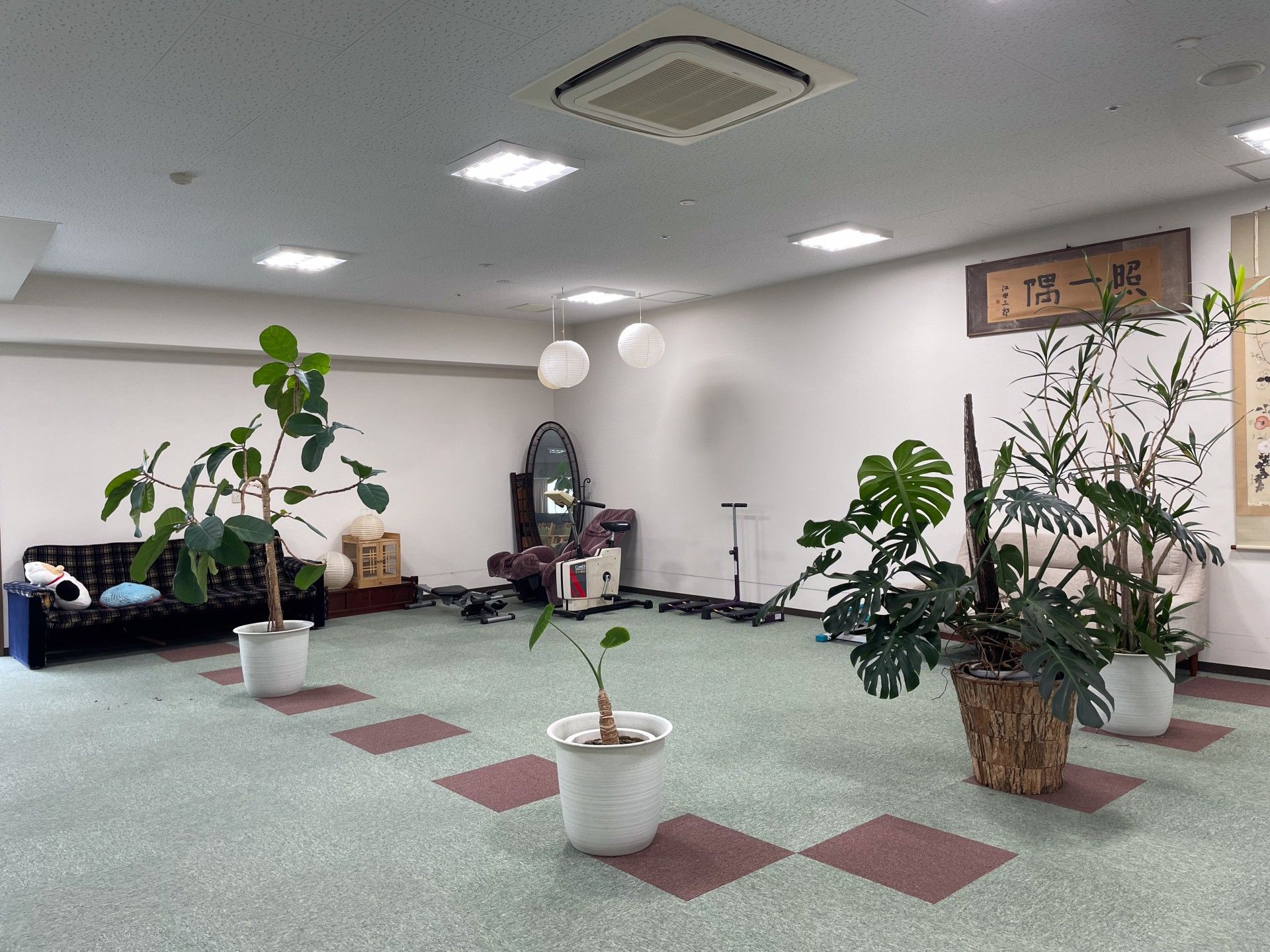 観葉植物が並ぶ広い部屋