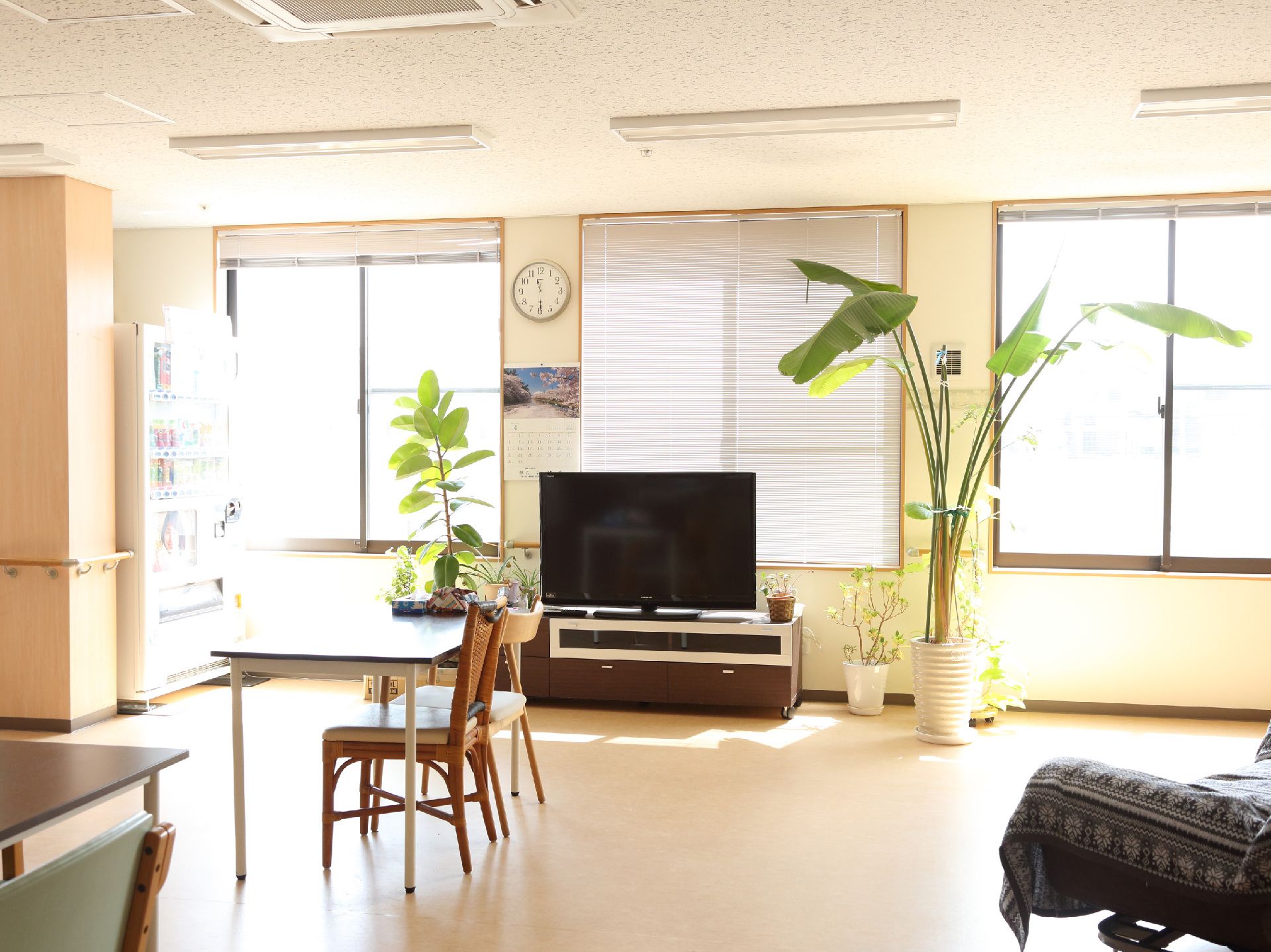 窓際にテレビや自動販売機が設置され、観葉植物が置かれた明るい多目的スペース
