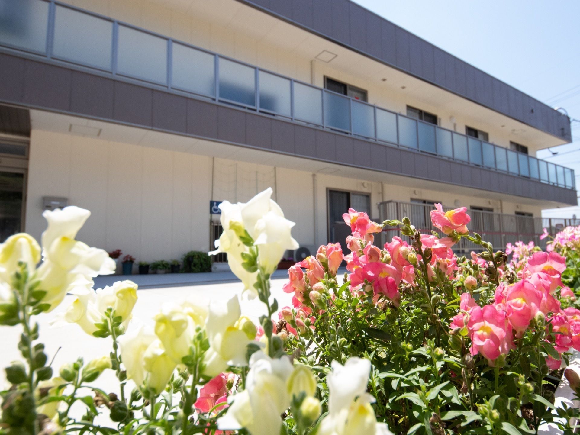 白やピンクの草花の奥に佇む、グレーと白で統一された2階建ての建物