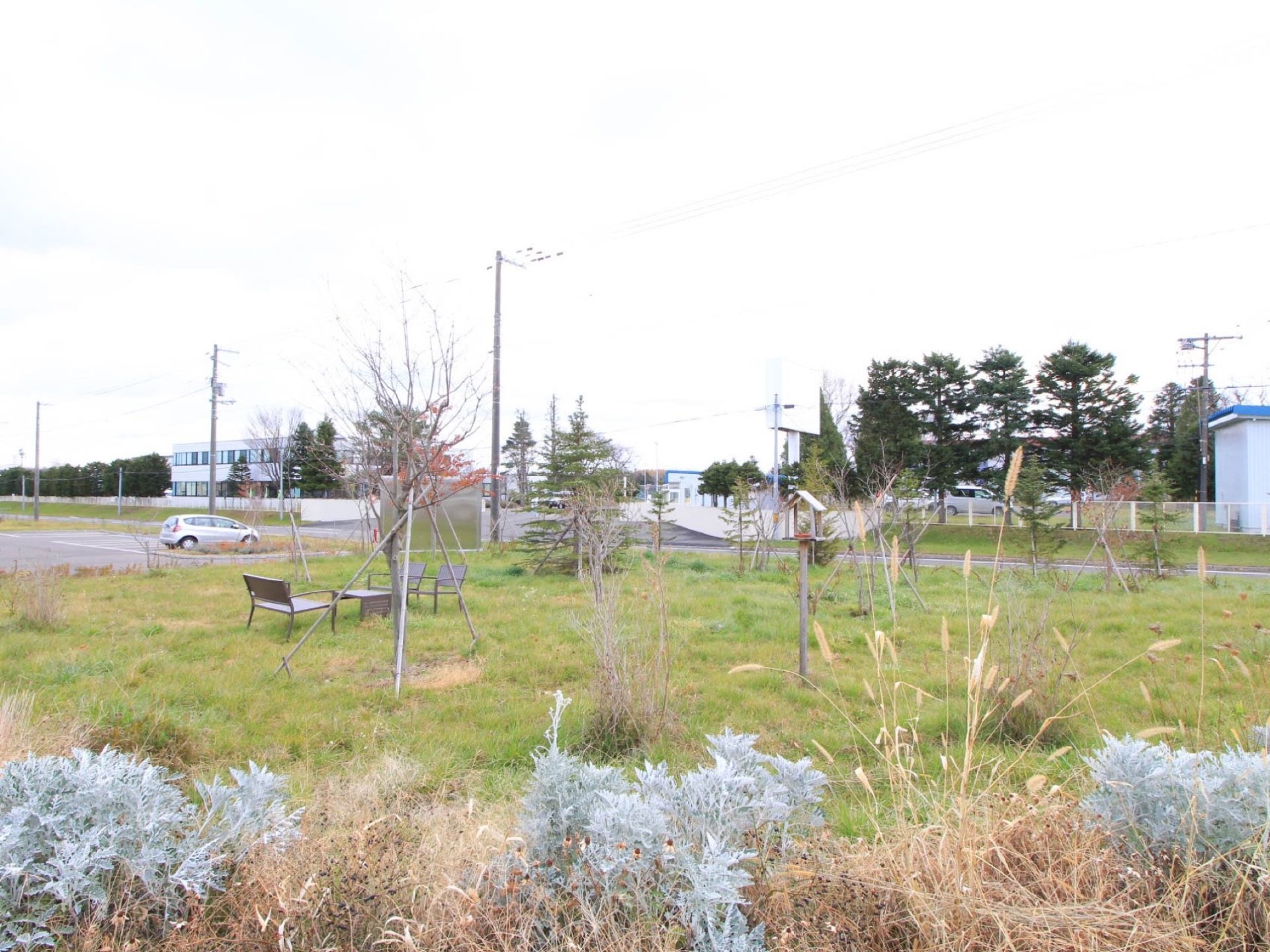 敷地内に緑地帯がある。芝生の上に、ガーデンチェアとテーブルがある。支柱が施された木が植えてある。