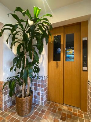 エレベーターホール