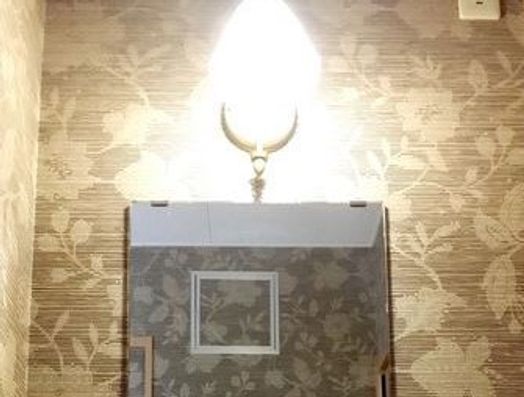 照明