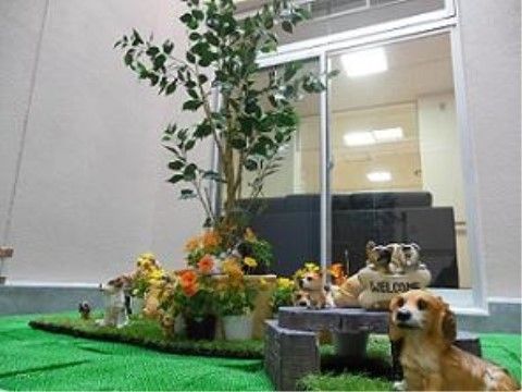 中庭には木が１本植えてあり、その根元に黄色やオレンジ色の花の咲いた植木鉢や、犬の置物が置かれている。入居者様にとって癒しの空間になっている。