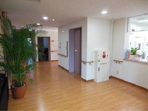 エレベーター前の通路は、広めのスペースが取られている。また、天井まで届くほどに背の高い木が植えられた鉢も置かれている。