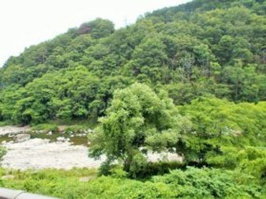 風景