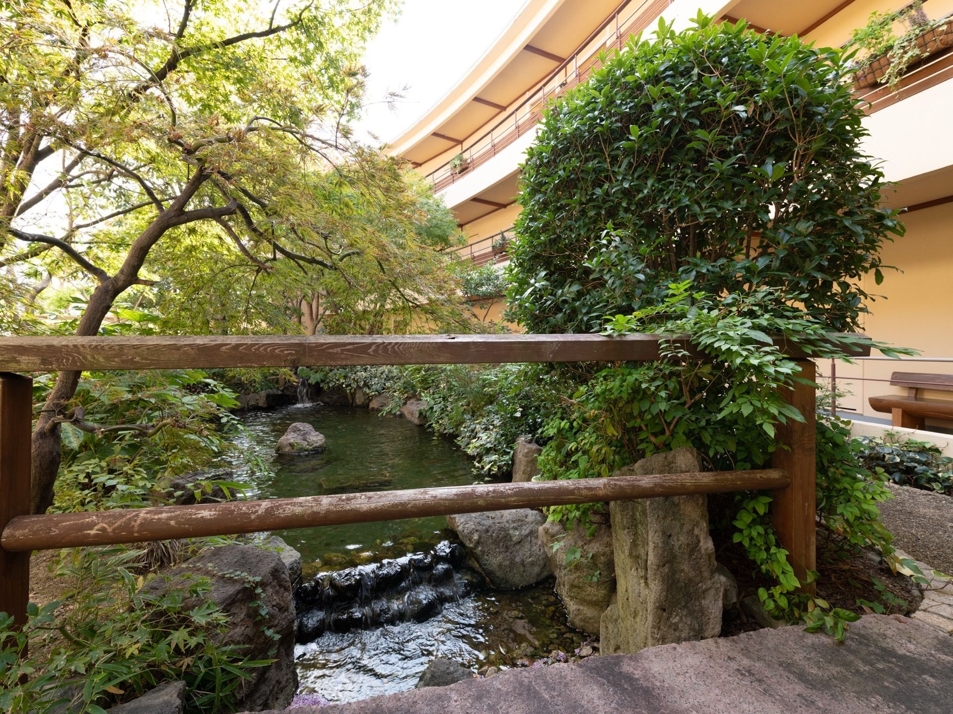 施設の前の敷地内に小川が流れている。両岸は岩で造られ、緑色の木々や植物が生い茂っていて、自然を感じられる環境となっている。