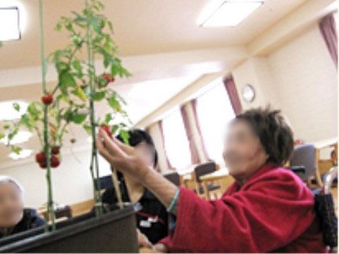 当ホームでのレクリエーションにはガーデニングも含め、様々なイベントを入居者様に楽しんでいただけるよう企画している。