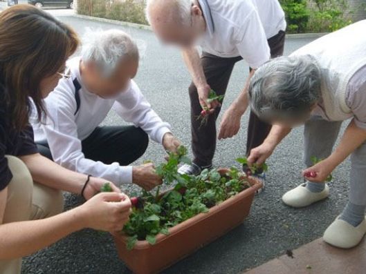 レクリエーション