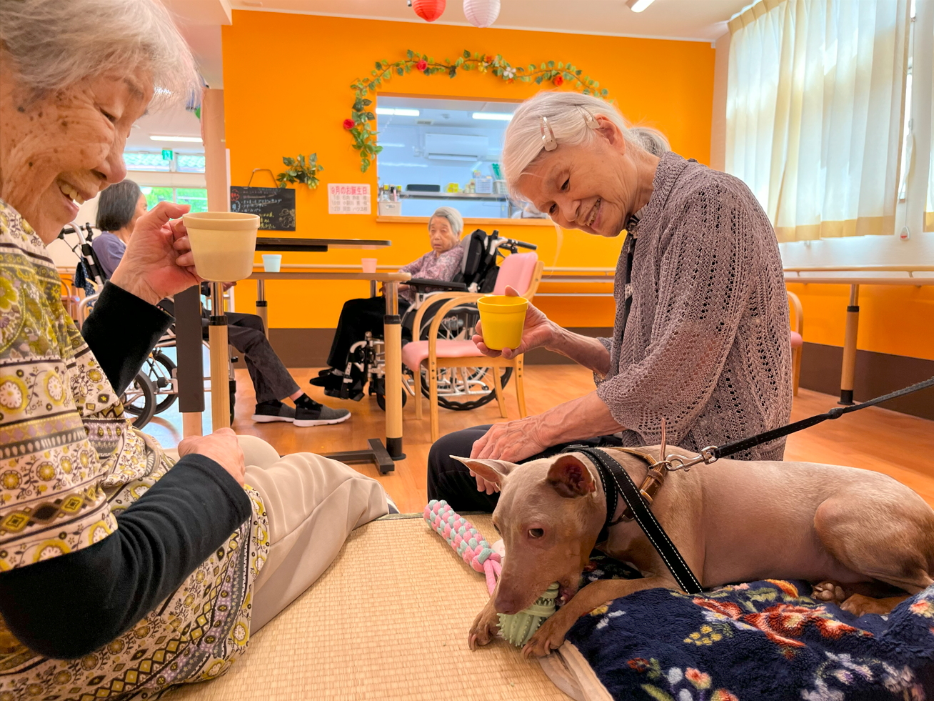 施設犬「ちいちゃん」と入居者様