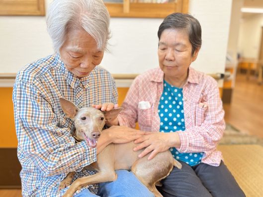 施設犬「ちいちゃん」と入居者様