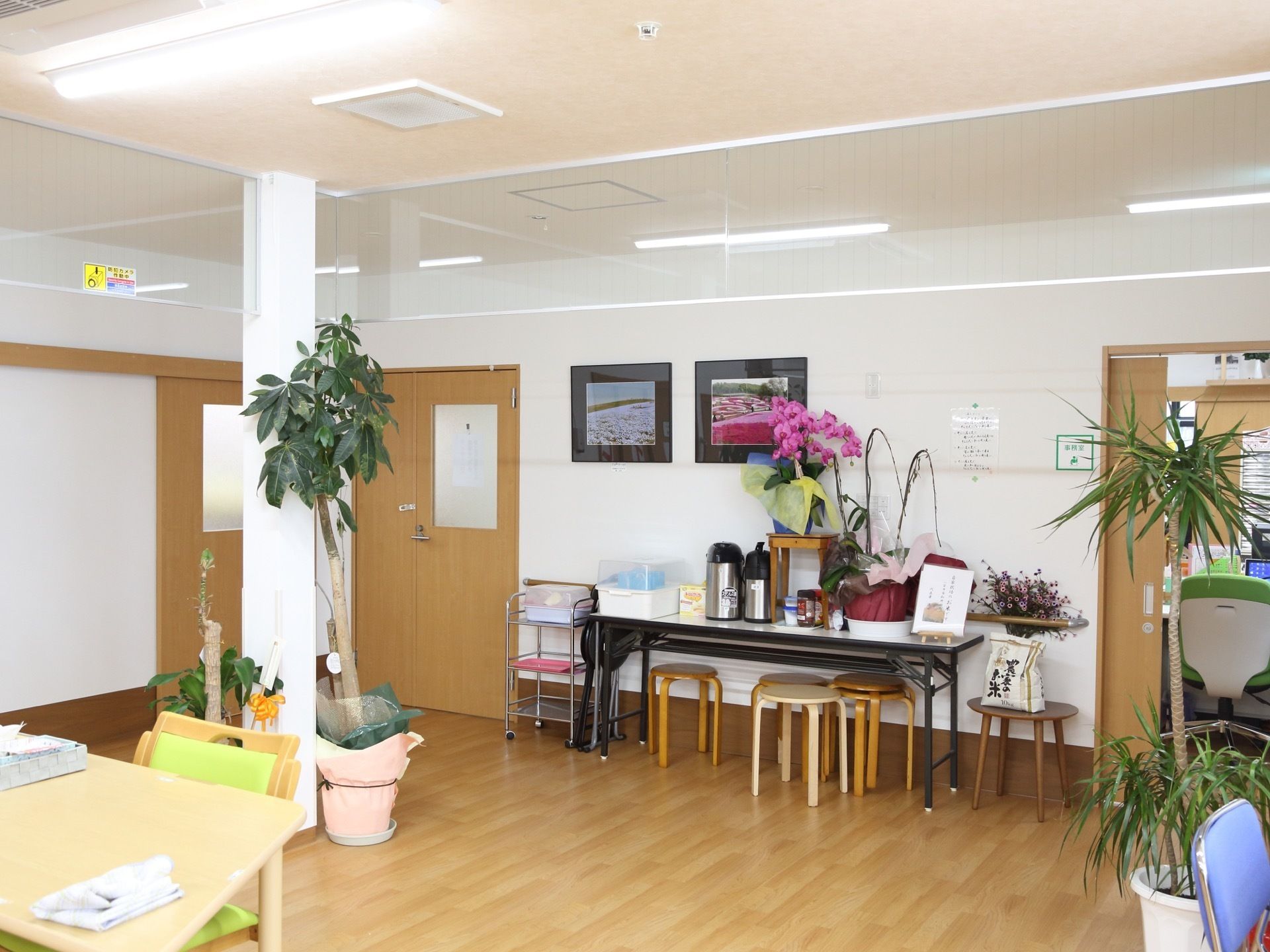 フローリングの部屋で、観葉植物が３鉢置かれている。壁側のテーブルには、胡蝶蘭の鉢やドライフラワーがある。