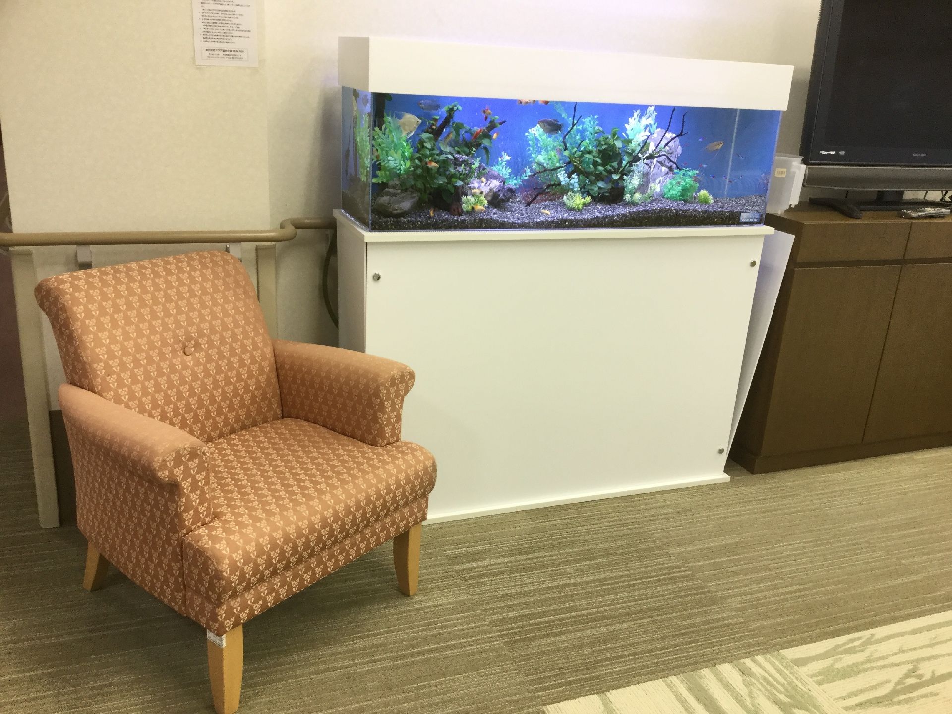 エントランスにおしゃれで色鮮やかなソファとテーブルが置かれている。観葉植物やアクアリウムがあり、癒しの空間。