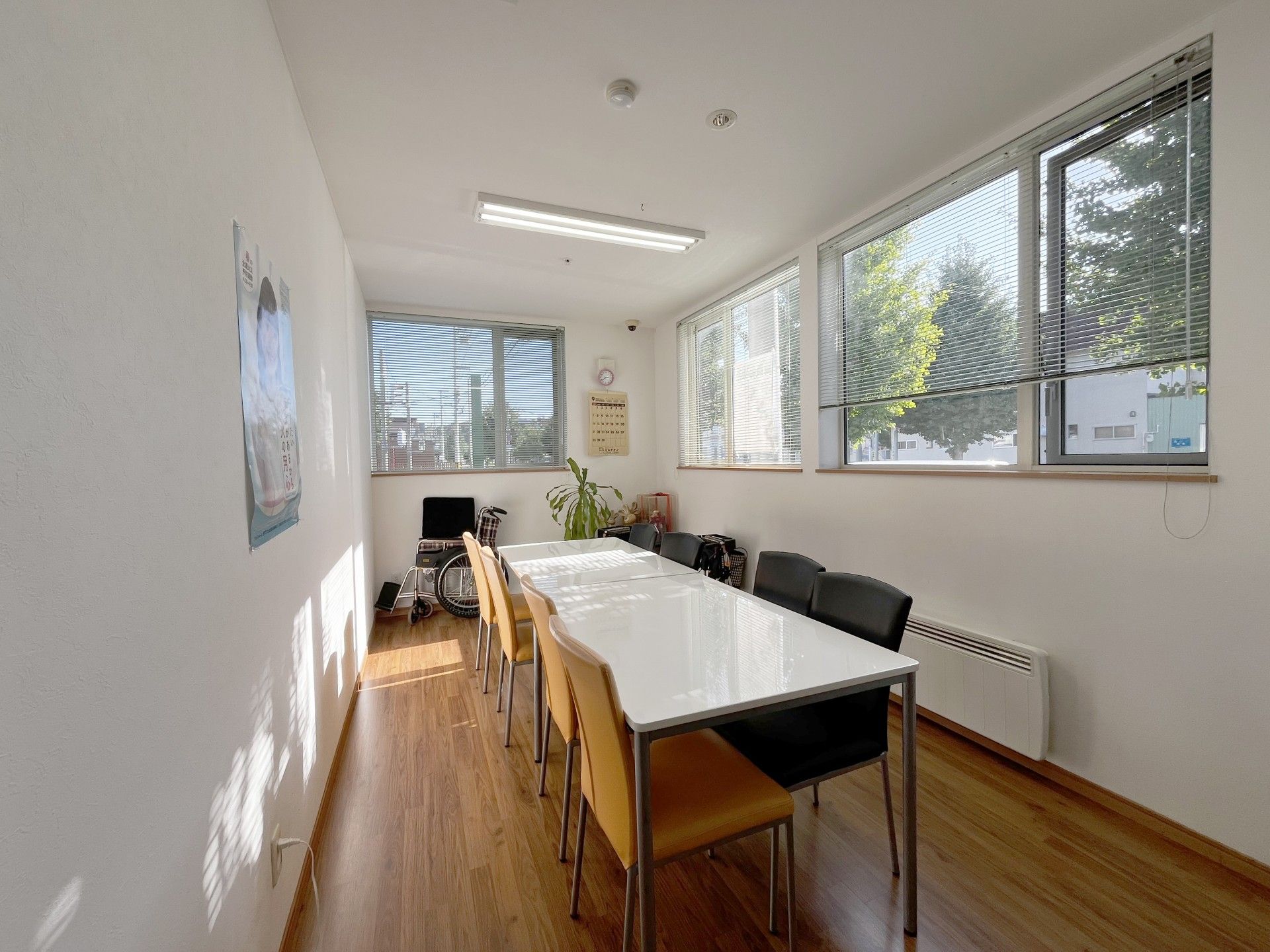 日差しが差し込む会議室