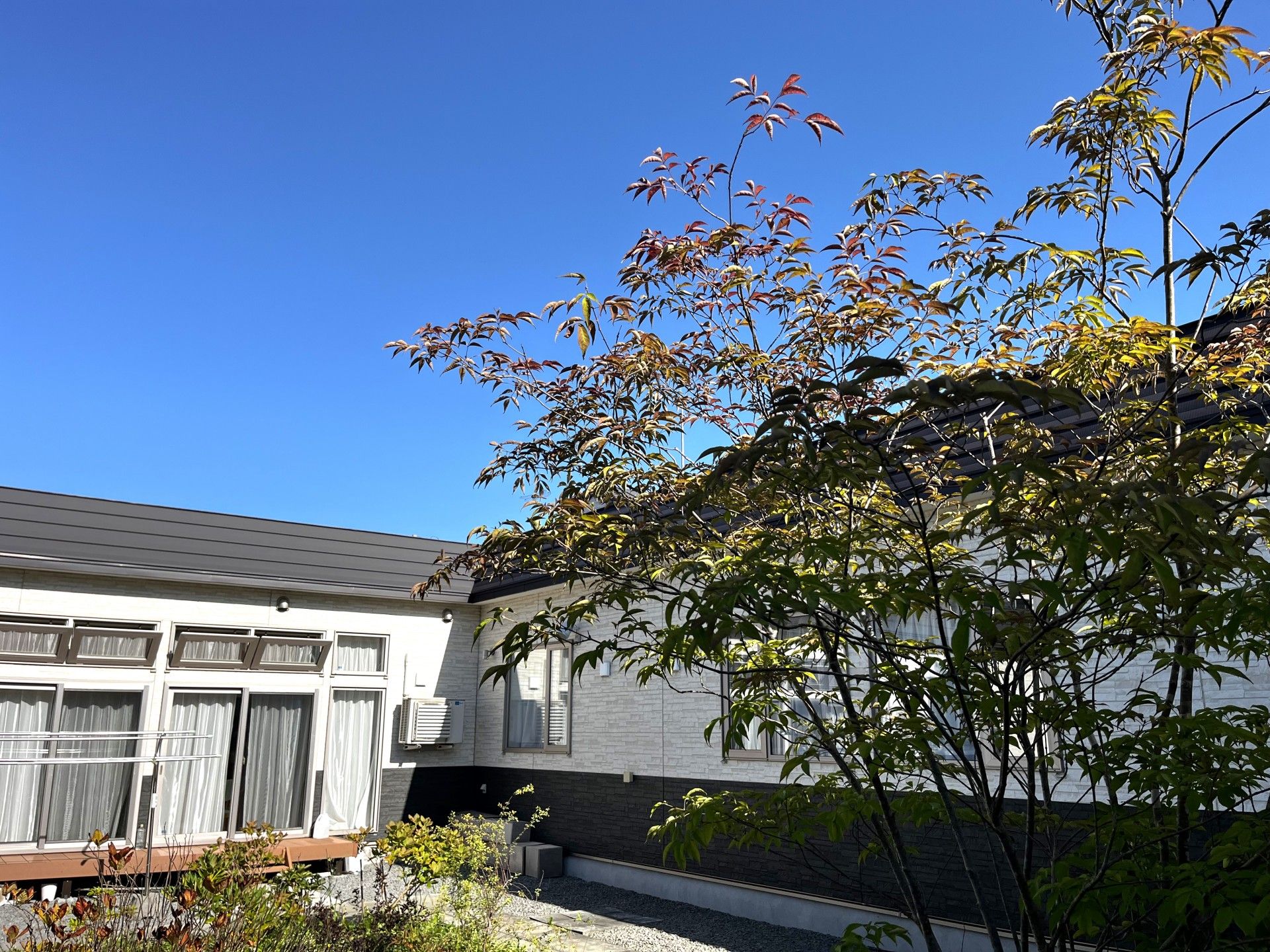 青空と庭の風景